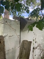 IMG_0621 Medium.jpeg