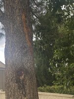 IMG_0626 Medium.jpeg