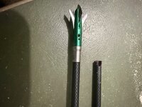 IMG_0398.jpeg