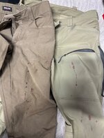 IMG_0927.jpeg