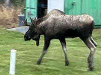 IMG_0844.jpeg