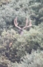 IMG_0892.jpeg