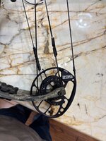 IMG_3178.jpeg