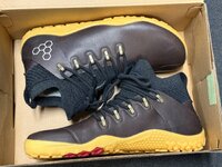 IMG_0950.jpeg