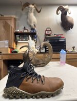 IMG_0953.jpeg