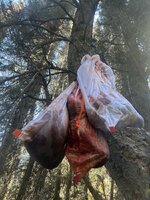 IMG_3956.jpeg