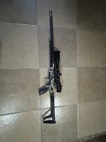 IMG_0288.jpeg
