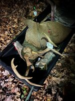 IMG_0730.jpeg