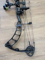 IMG_1547.jpeg