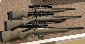 IMG_8403.jpeg