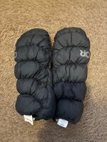 IMG_1884.jpeg