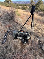 IMG_6956.jpeg