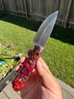 IMG_1693.jpeg