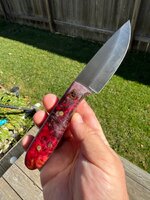 IMG_1694.jpeg