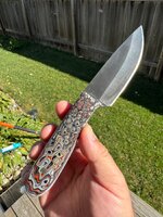 IMG_1695.jpeg
