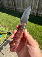 IMG_1697.jpeg