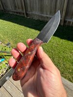 IMG_1698.jpeg
