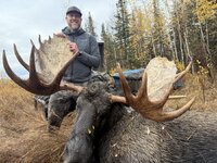 Moose 2025.jpg