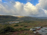 IMG_6310.jpg
