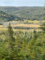 IMG_6323.jpg