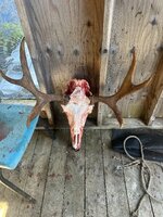 IMG_6408.jpg