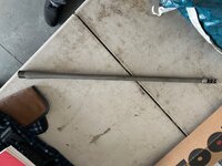 IMG_5513.jpeg