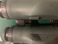 IMG_6095.jpeg
