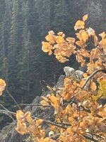 IMG_2754.jpeg