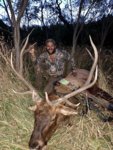 elk.jpg elk.jpg