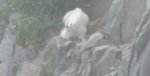 DSCN4045a.JPG