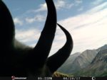 23E9E3DD-9336-40F1-B773-9E713F903C90.jpeg
