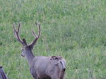 DSCN5498.JPG