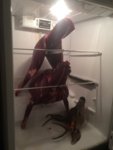 image.jpeg image.jpeg