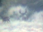 hart bucks 069.jpg