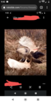 Screenshot_20190912-094411.png