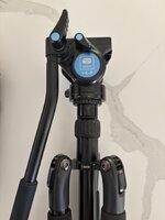 IMG_3461.jpeg