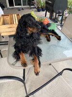 IMG_8116.jpeg