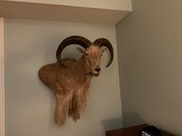 IMG_0169.jpeg