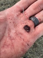 IMG_0191.jpeg