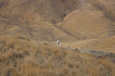 IMG_0802.JPG