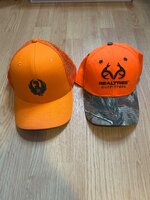 IMG_4535.jpeg
