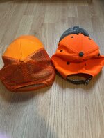 IMG_4536.jpeg