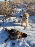 IMG_8655.jpg