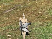 IMG_2401.jpg