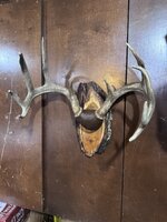IMG_7927.jpeg