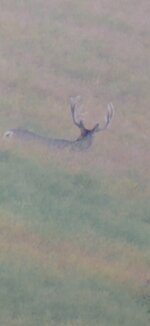 20250902_071509.jpg