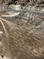 IMG_7025.jpeg