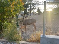 IMG_6393.jpeg