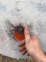 IMG_0799.jpeg