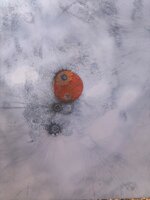 IMG_0811.jpeg